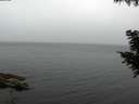 ./images/koeye/fitz-hugh/20200826/fitz-hugh20200826_062001.jpg
