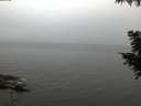 ./images/koeye/fitz-hugh/20200826/fitz-hugh20200826_062501.jpg