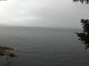 ./images/koeye/fitz-hugh/20200826/fitz-hugh20200826_063502.jpg