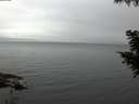 ./images/koeye/fitz-hugh/20200826/fitz-hugh20200826_064002.jpg