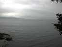 ./images/koeye/fitz-hugh/20200826/fitz-hugh20200826_064502.jpg