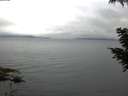 ./images/koeye/fitz-hugh/20200826/fitz-hugh20200826_065002.jpg