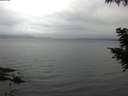 ./images/koeye/fitz-hugh/20200826/fitz-hugh20200826_065502.jpg