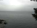 ./images/koeye/fitz-hugh/20200826/fitz-hugh20200826_071002.jpg