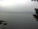 ./images/koeye/fitz-hugh/20200826/fitz-hugh20200826_071502.jpg
