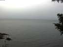 ./images/koeye/fitz-hugh/20200826/fitz-hugh20200826_072002.jpg