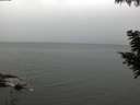 ./images/koeye/fitz-hugh/20200826/fitz-hugh20200826_072502.jpg