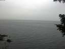 ./images/koeye/fitz-hugh/20200826/fitz-hugh20200826_073501.jpg