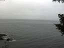 ./images/koeye/fitz-hugh/20200826/fitz-hugh20200826_074001.jpg