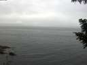 ./images/koeye/fitz-hugh/20200826/fitz-hugh20200826_074501.jpg