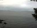./images/koeye/fitz-hugh/20200826/fitz-hugh20200826_075001.jpg