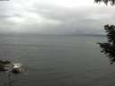 ./images/koeye/fitz-hugh/20200826/fitz-hugh20200826_075501.jpg