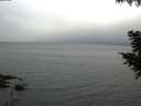 ./images/koeye/fitz-hugh/20200826/fitz-hugh20200826_080001.jpg