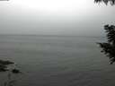 ./images/koeye/fitz-hugh/20200826/fitz-hugh20200826_080501.jpg