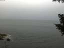 ./images/koeye/fitz-hugh/20200826/fitz-hugh20200826_081001.jpg