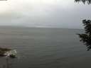 ./images/koeye/fitz-hugh/20200826/fitz-hugh20200826_081501.jpg