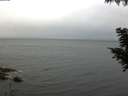 ./images/koeye/fitz-hugh/20200826/fitz-hugh20200826_082501.jpg