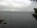 ./images/koeye/fitz-hugh/20200826/fitz-hugh20200826_084501.jpg