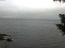 ./images/koeye/fitz-hugh/20200826/fitz-hugh20200826_085001.jpg