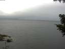 ./images/koeye/fitz-hugh/20200826/fitz-hugh20200826_085501.jpg