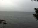 ./images/koeye/fitz-hugh/20200826/fitz-hugh20200826_091001.jpg
