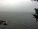 ./images/koeye/fitz-hugh/20200826/fitz-hugh20200826_091501.jpg