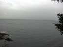 ./images/koeye/fitz-hugh/20200826/fitz-hugh20200826_092001.jpg