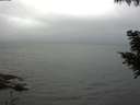 ./images/koeye/fitz-hugh/20200826/fitz-hugh20200826_092501.jpg
