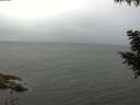 ./images/koeye/fitz-hugh/20200826/fitz-hugh20200826_093501.jpg