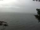 ./images/koeye/fitz-hugh/20200826/fitz-hugh20200826_094502.jpg