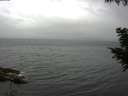 ./images/koeye/fitz-hugh/20200826/fitz-hugh20200826_095001.jpg