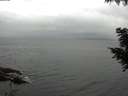./images/koeye/fitz-hugh/20200826/fitz-hugh20200826_095502.jpg