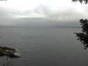 ./images/koeye/fitz-hugh/20200826/fitz-hugh20200826_100002.jpg