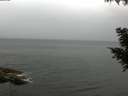 ./images/koeye/fitz-hugh/20200826/fitz-hugh20200826_101502.jpg