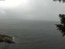 ./images/koeye/fitz-hugh/20200826/fitz-hugh20200826_102002.jpg