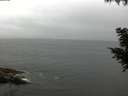 ./images/koeye/fitz-hugh/20200826/fitz-hugh20200826_103502.jpg