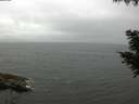 ./images/koeye/fitz-hugh/20200826/fitz-hugh20200826_104002.jpg