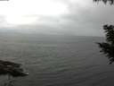 ./images/koeye/fitz-hugh/20200826/fitz-hugh20200826_104502.jpg