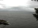 ./images/koeye/fitz-hugh/20200826/fitz-hugh20200826_105001.jpg