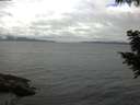 ./images/koeye/fitz-hugh/20200826/fitz-hugh20200826_115501.jpg