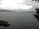./images/koeye/fitz-hugh/20200826/fitz-hugh20200826_120001.jpg