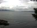 ./images/koeye/fitz-hugh/20200826/fitz-hugh20200826_120501.jpg