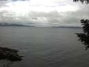 ./images/koeye/fitz-hugh/20200826/fitz-hugh20200826_121001.jpg