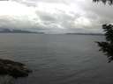 ./images/koeye/fitz-hugh/20200826/fitz-hugh20200826_121501.jpg