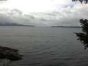 ./images/koeye/fitz-hugh/20200826/fitz-hugh20200826_122501.jpg