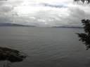 ./images/koeye/fitz-hugh/20200826/fitz-hugh20200826_123501.jpg