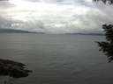 ./images/koeye/fitz-hugh/20200826/fitz-hugh20200826_124001.jpg
