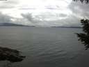 ./images/koeye/fitz-hugh/20200826/fitz-hugh20200826_124501.jpg