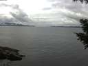 ./images/koeye/fitz-hugh/20200826/fitz-hugh20200826_130502.jpg