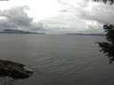 ./images/koeye/fitz-hugh/20200826/fitz-hugh20200826_131002.jpg